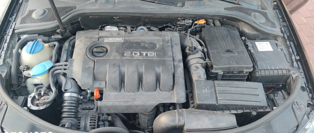 Audi A3 cena 17500 przebieg: 287000, rok produkcji 2008 z Wasilków małe 211